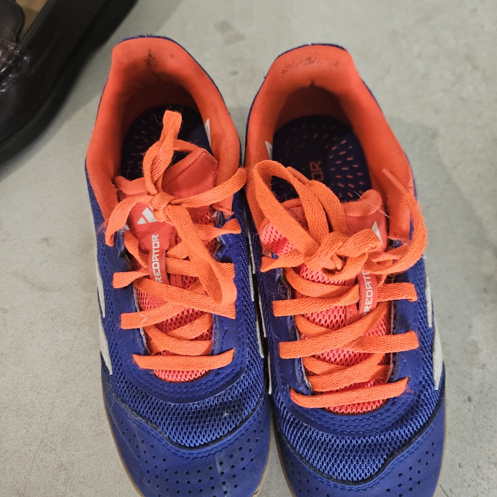 adidas Kids Presator Indoor Soccer/futsal Shoes in Blue and Orange